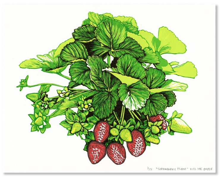 Strawberry Plant Stock Illustrations – 41,908 Strawberry Plant Stock  Illustrations, Vectors & Clipart - Dreamstime